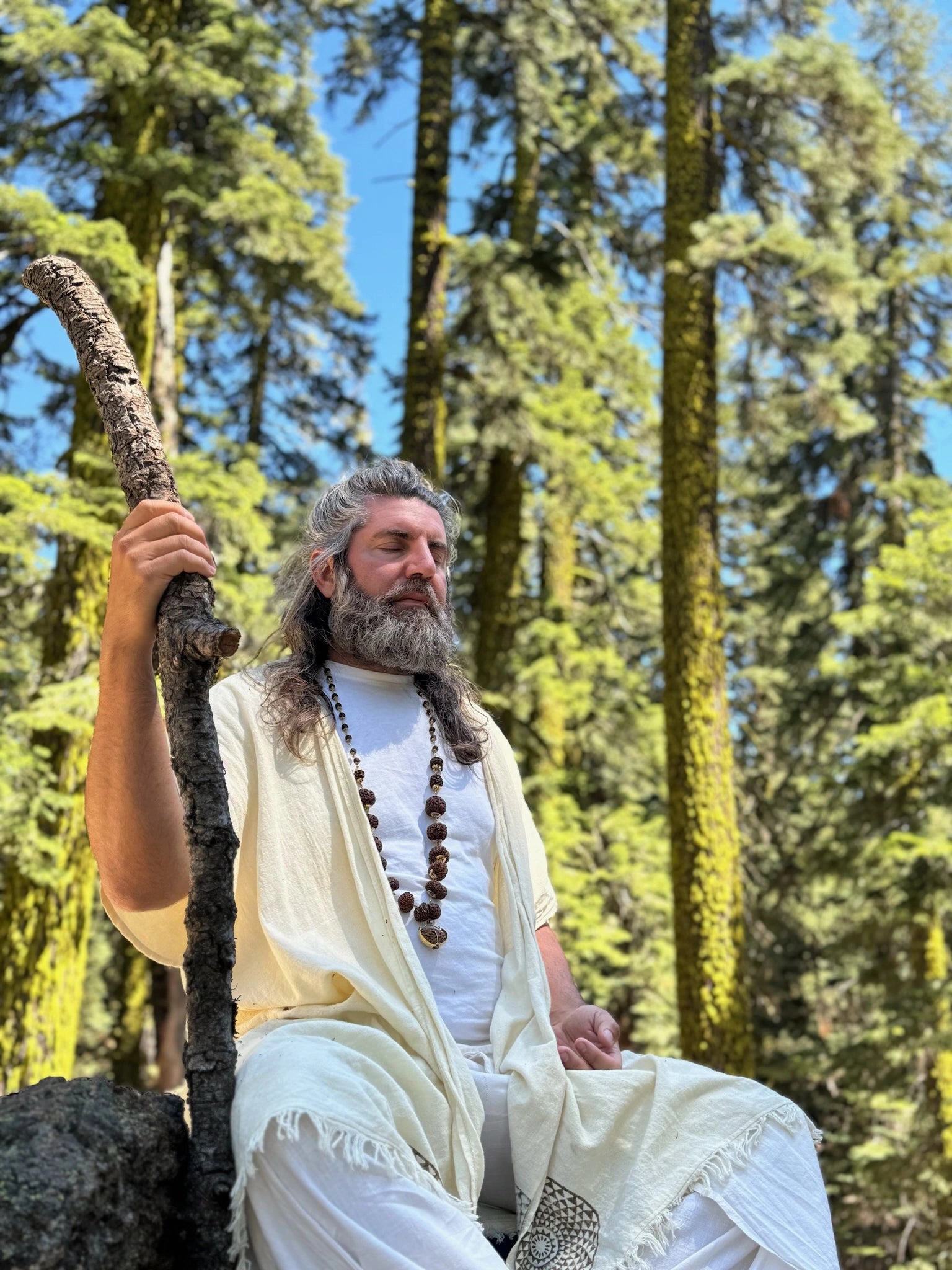 Kundalini-Energieaktivierungen mit Shivananda Swamiji